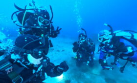 ダイブテリーズ