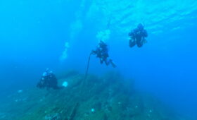 ダイブテリーズ