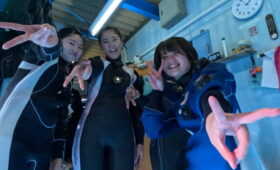 ダイブテリーズ