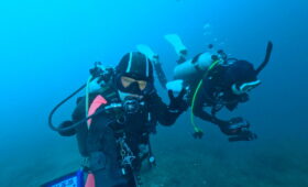 ダイブテリーズ