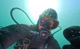 ダイブテリーズ