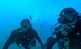 ダイブテリーズ