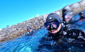 ダイブテリーズ