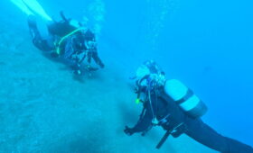 ダイブテリーズ