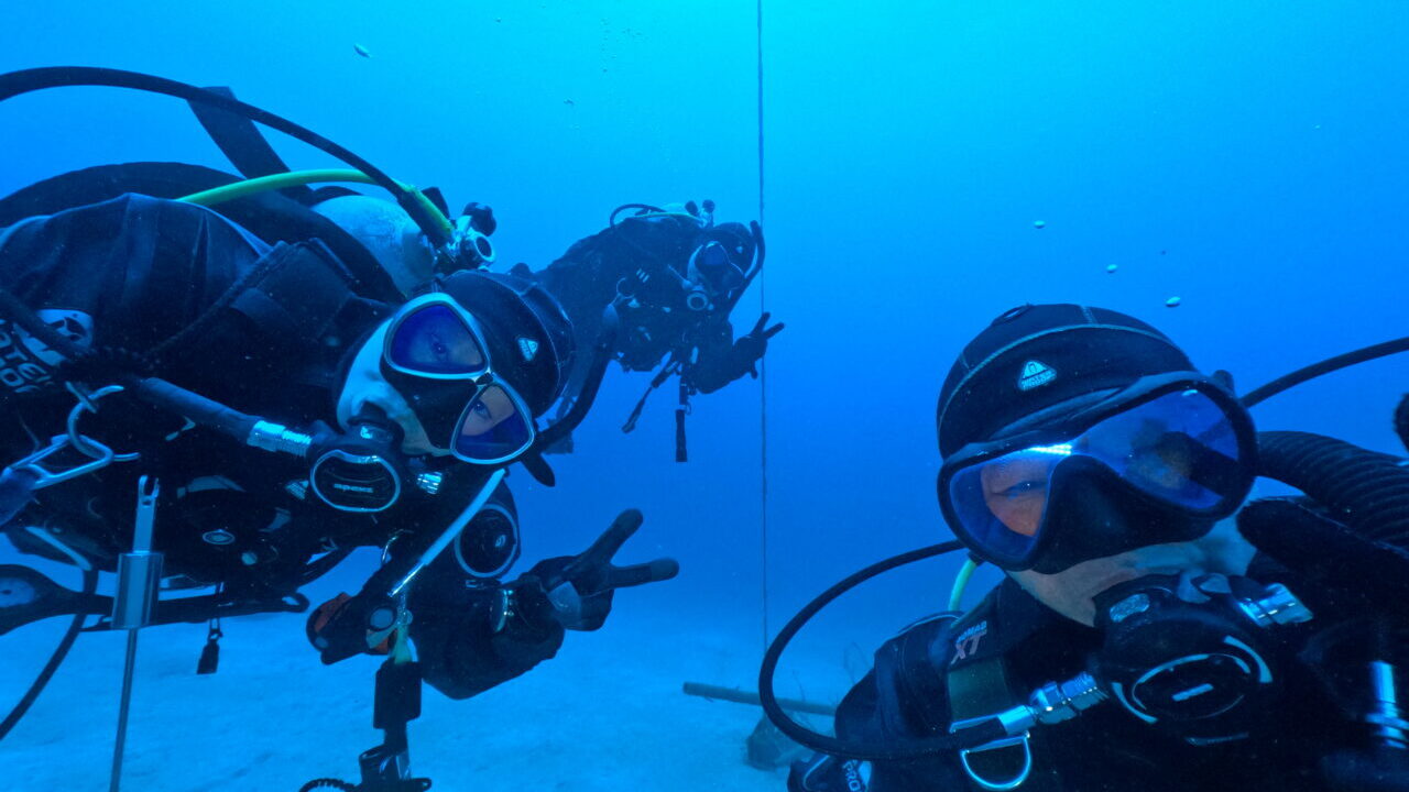 ダイブテリーズ