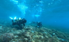 ダイブテリーズ