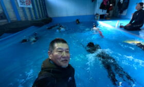 ダイブテリーズ