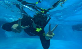 ダイブテリーズ