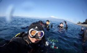 ダイブテリーズ