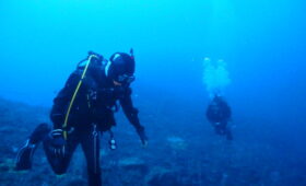 ダイブテリーズ