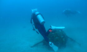 ダイブテリーズ