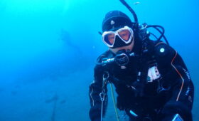 ダイブテリーズ