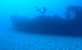 ダイブテリーズ