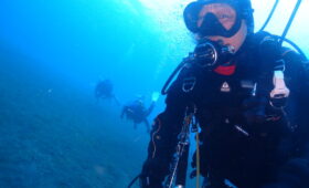 ダイブテリーズ