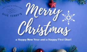 ダイブテリーズ