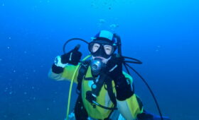 ダイブテリーズ