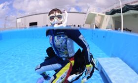 ダイブテリーズ