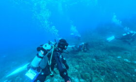 ダイブテリーズ