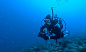 ダイブテリーズ