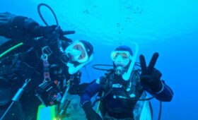 ダイブテリーズ