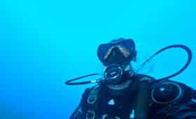 ダイブテリーズ