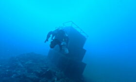 ダイブテリーズ