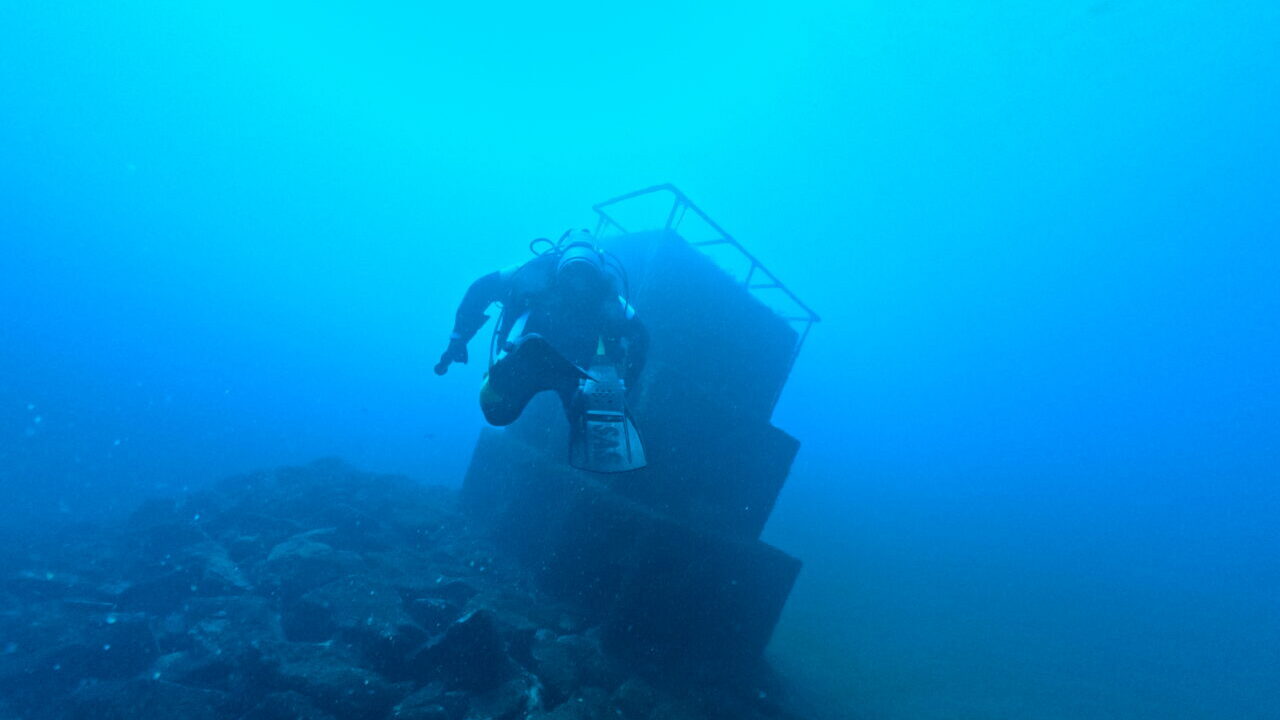 ダイブテリーズ