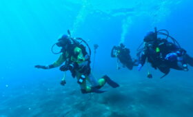 ダイブテリーズ