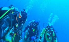 ダイブテリーズ