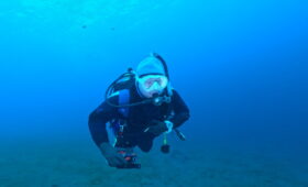 ダイブテリーズ