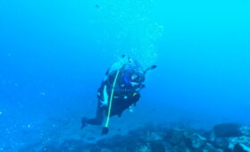 ダイブテリーズ