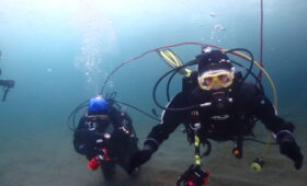 ダイブテリーズ