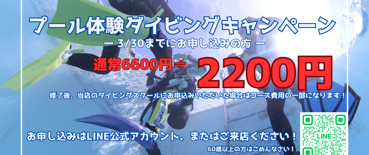 ダイブテリーズ