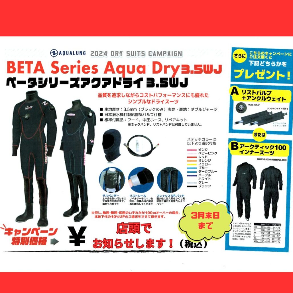 ダイブテリーズ