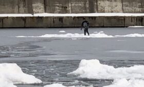 ダイブテリーズ