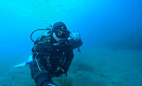 ダイブテリーズ