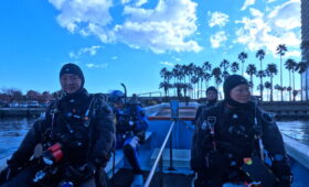 ダイブテリーズ