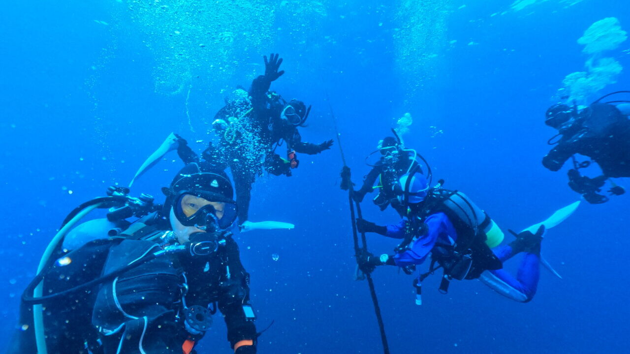 ダイブテリーズ ダイバーの写真