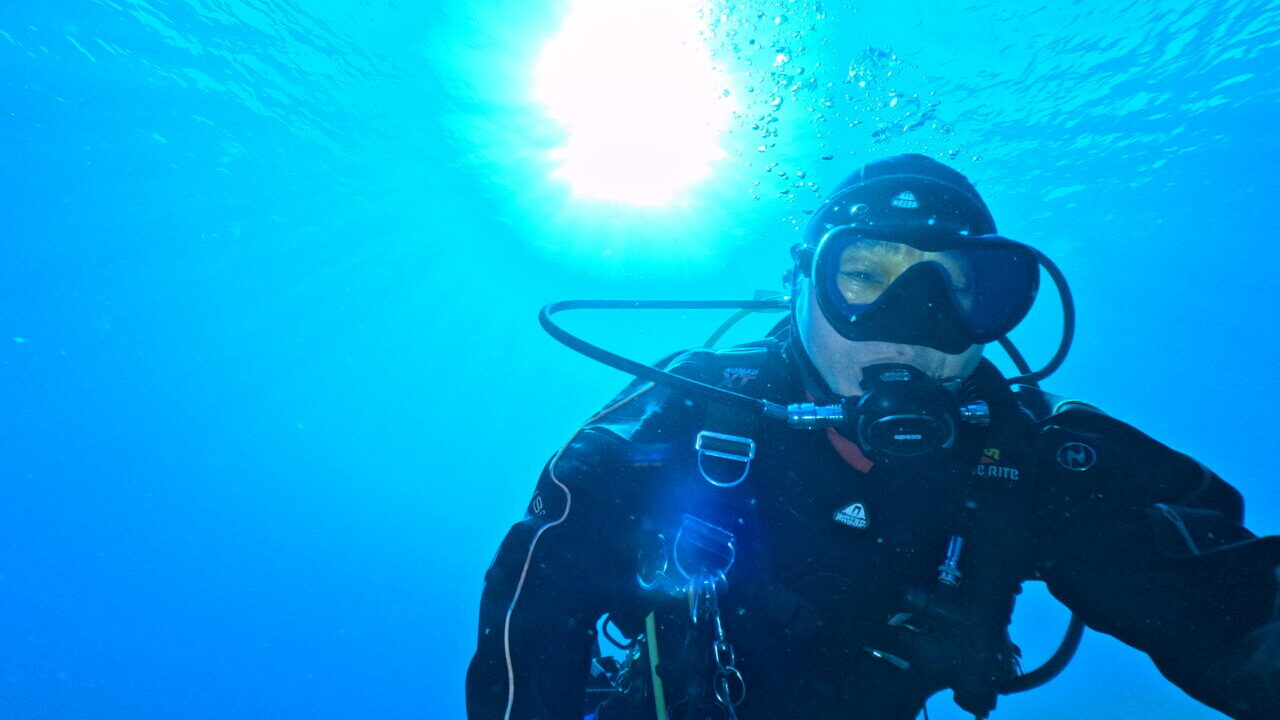 ダイブテリーズ