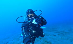 ダイブテリーズ