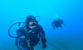 ダイブテリーズ