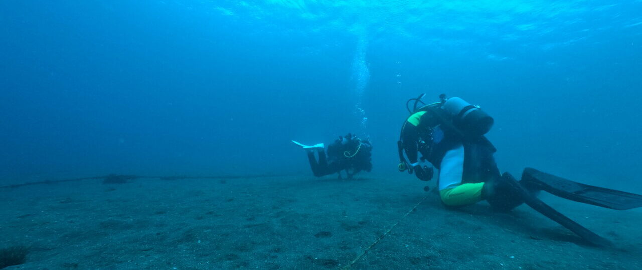 ダイブテリーズ