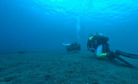 ダイブテリーズ