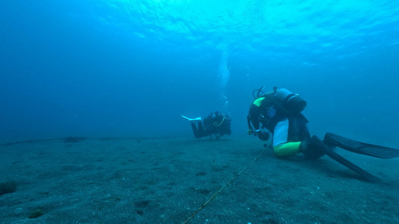 ダイブテリーズ