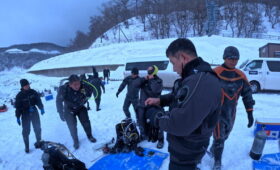 ダイブテリーズ