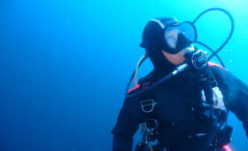 ダイブテリーズ