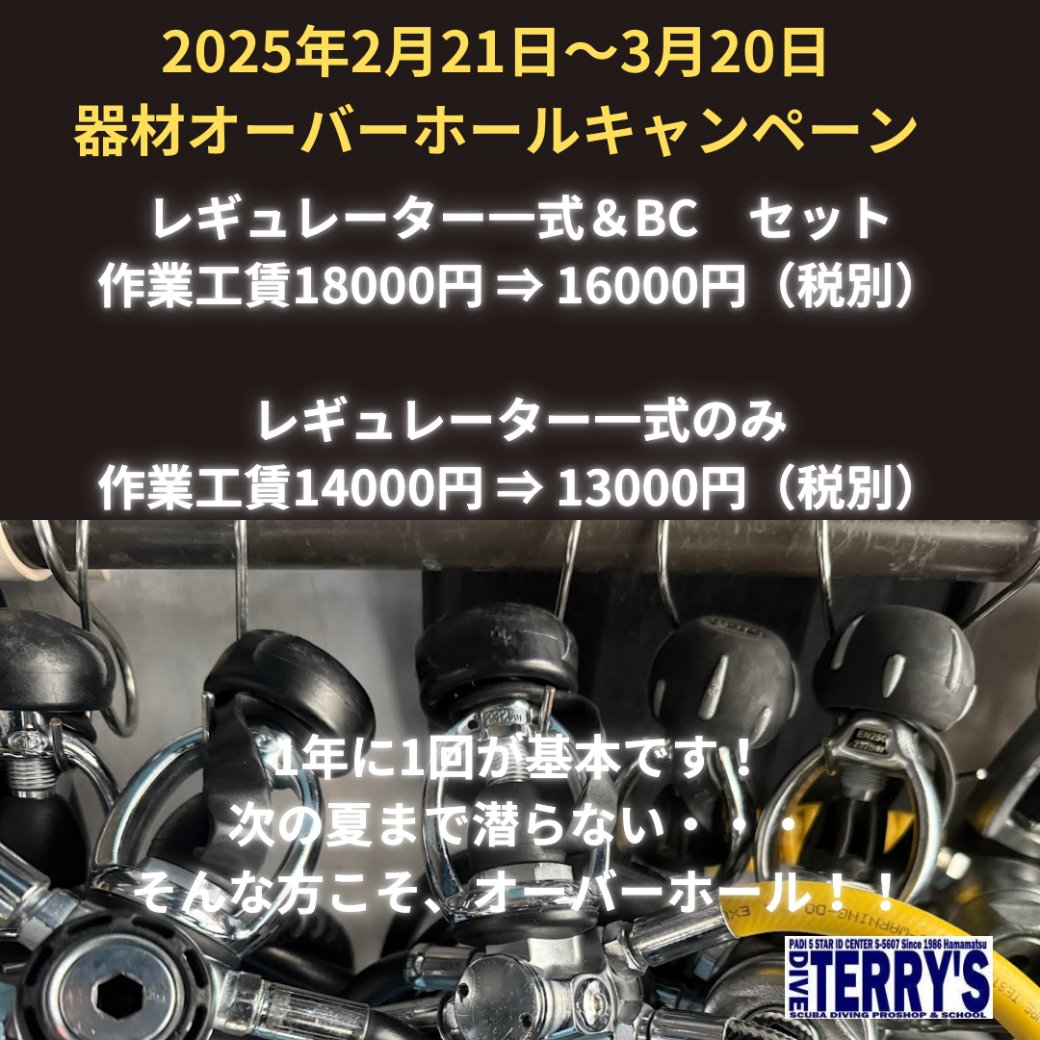 ダイブテリーズ