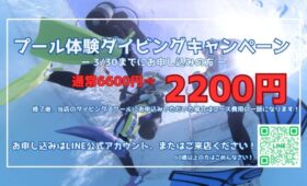 ダイブテリーズ プール体験ダイビングキャンペーン