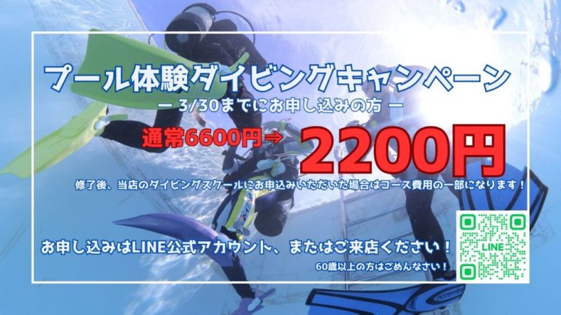 ダイブテリーズ プール体験ダイビングキャンペーン