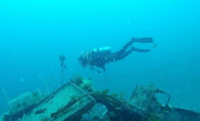 ダイブテリーズ